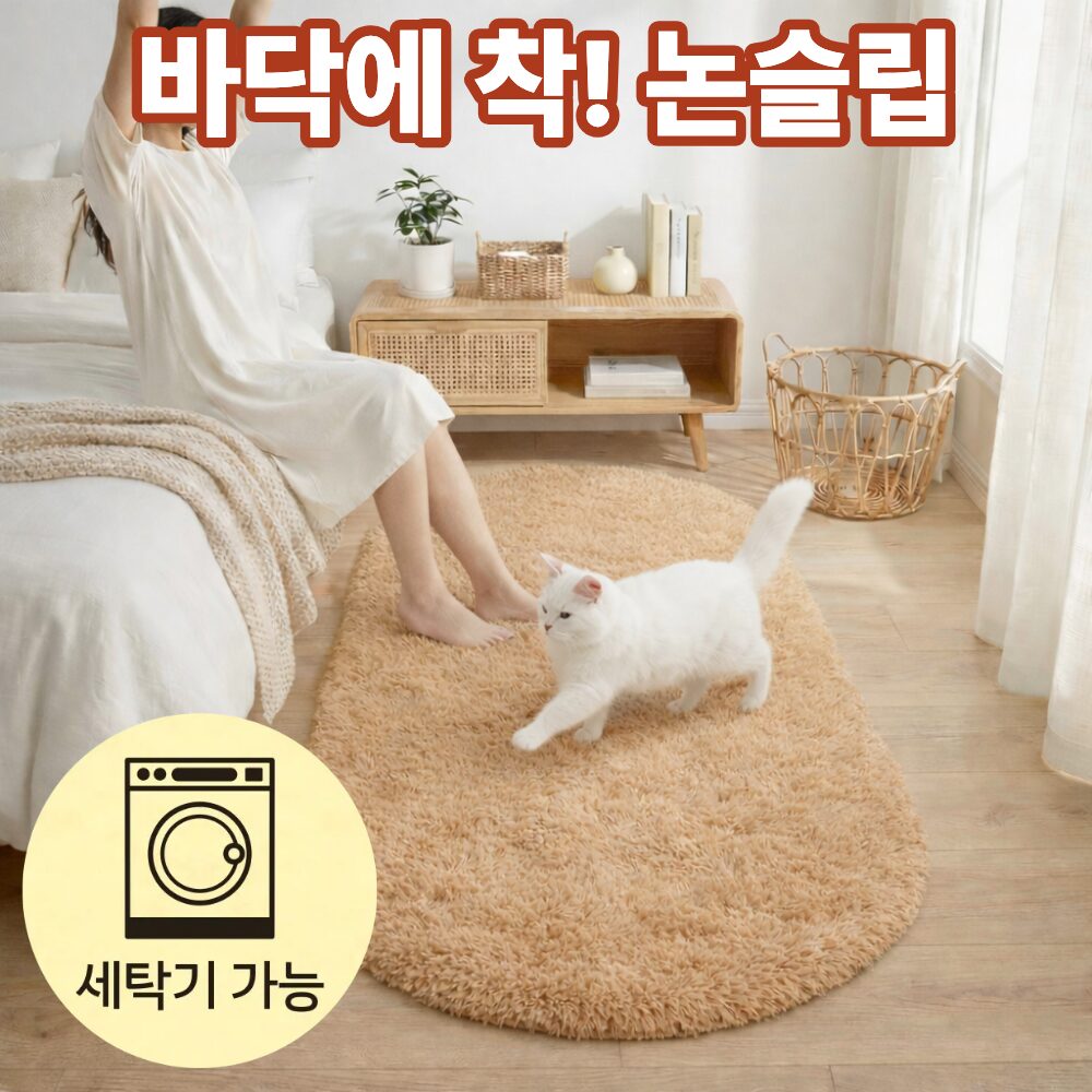 레시앙뜨 파스텔 타원형 단모 러그 카페트쿠폰할인 상세 이미지 2